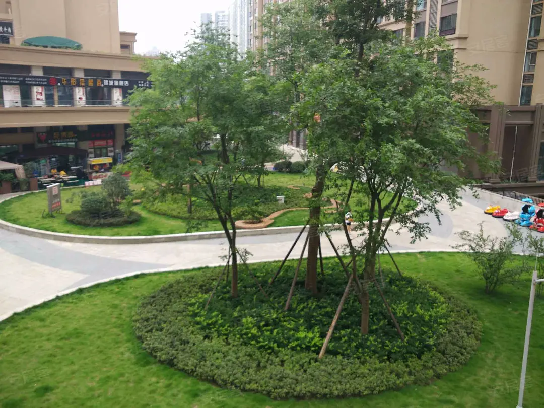 房屋图片 8