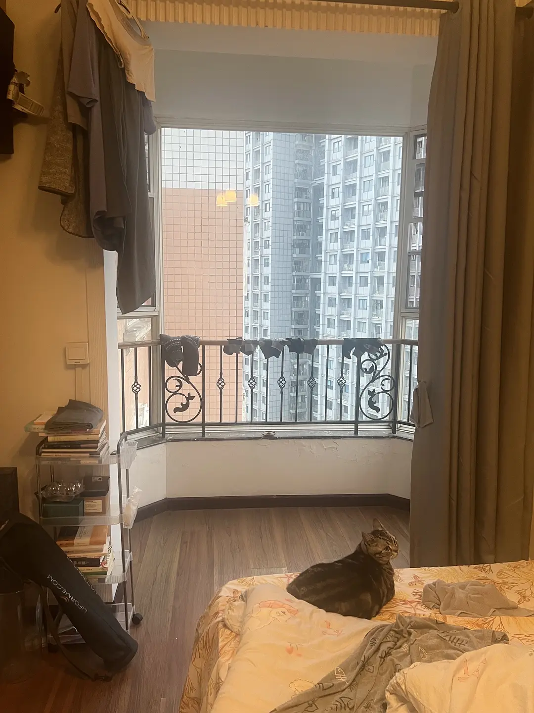 房屋图片 1