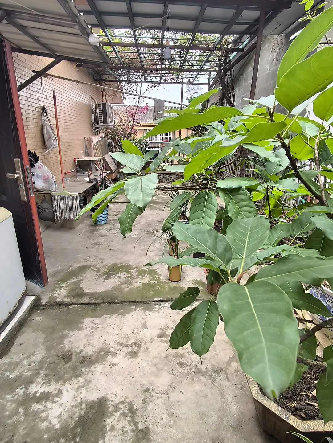 房屋图片 3