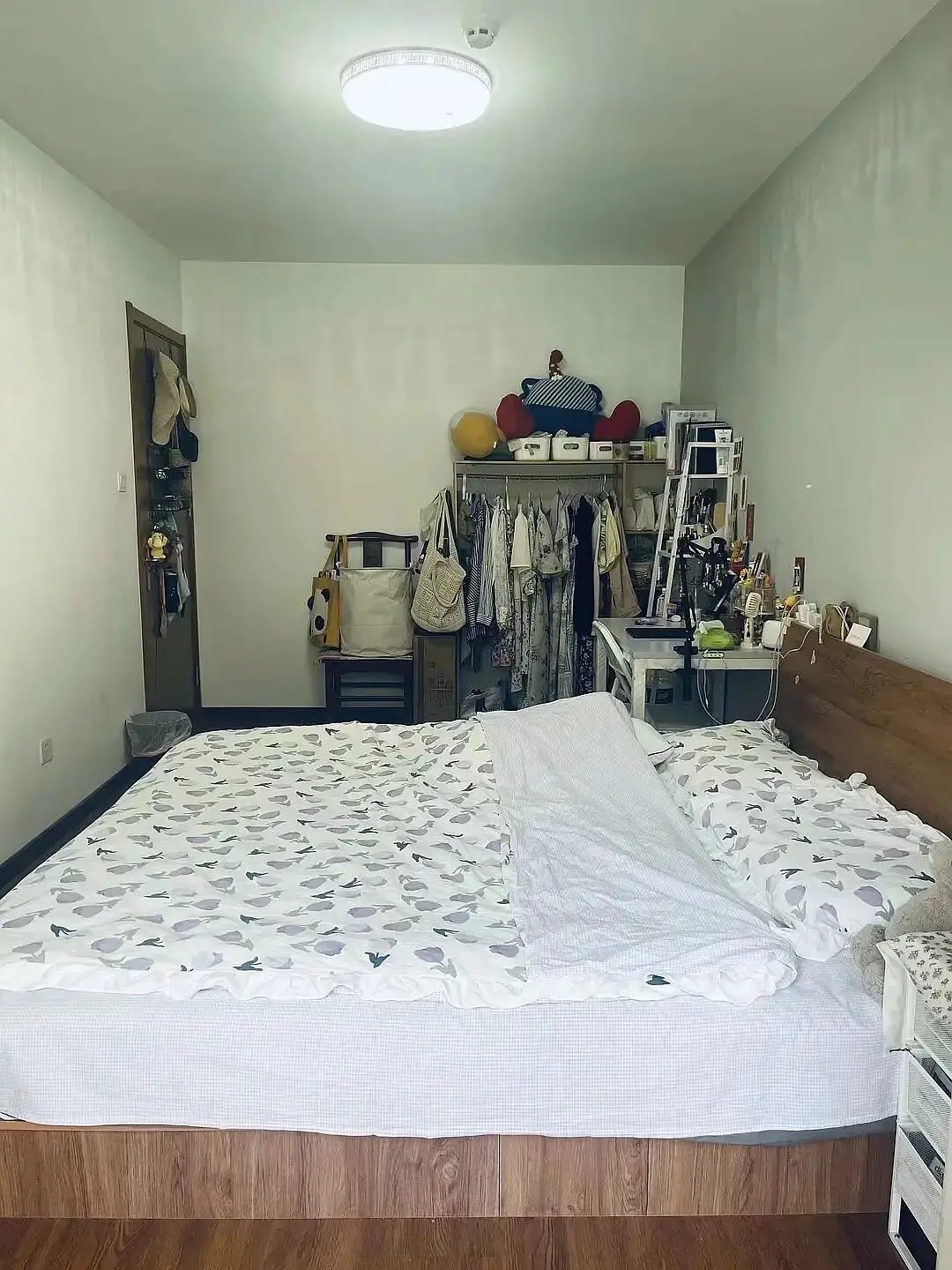 房屋图片 3