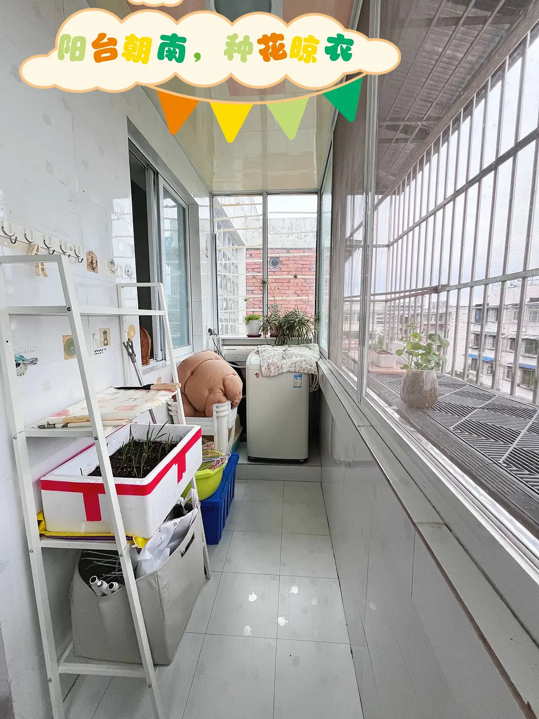房屋图片 7