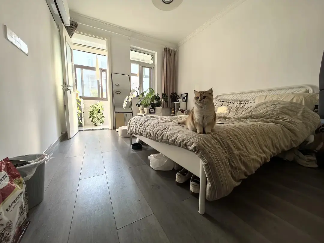 房屋图片 2