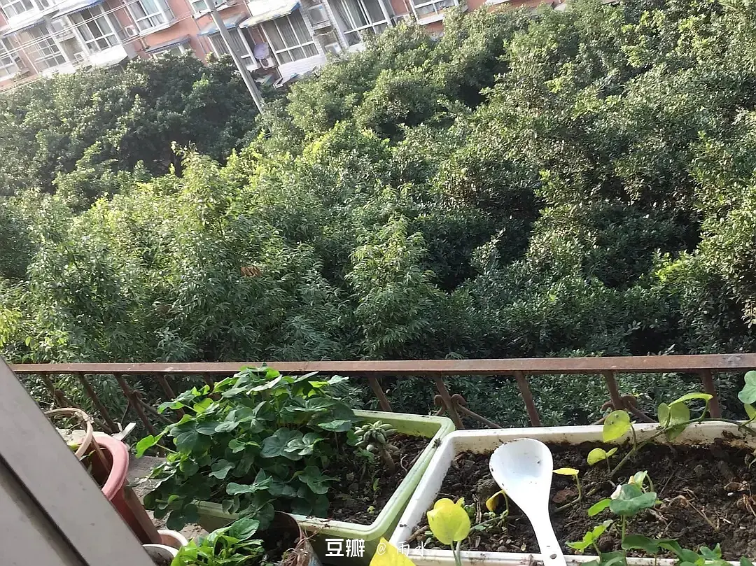 房屋图片 1