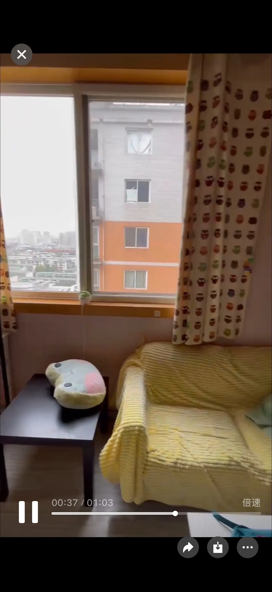 房屋图片 5