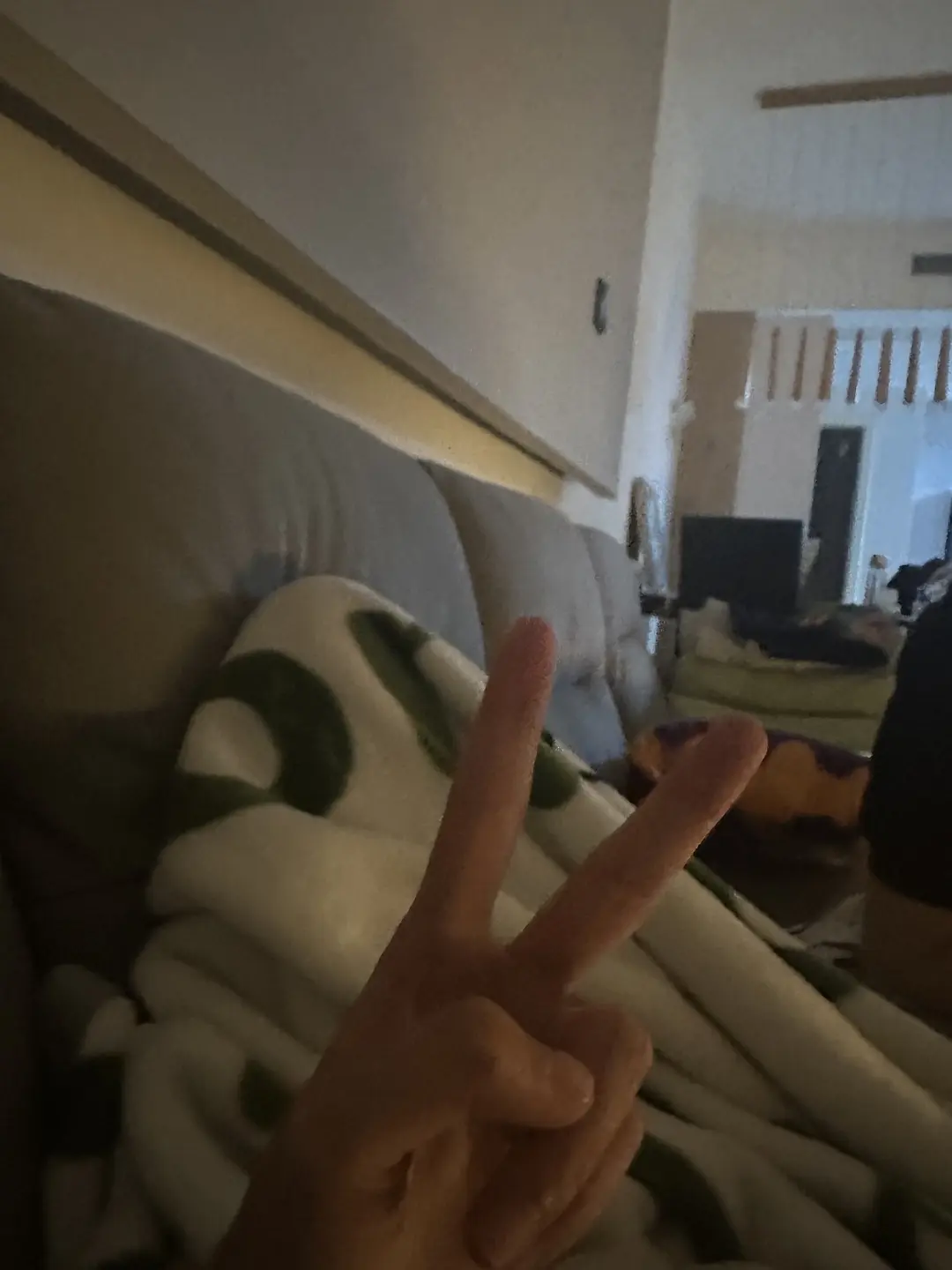 房屋图片 4