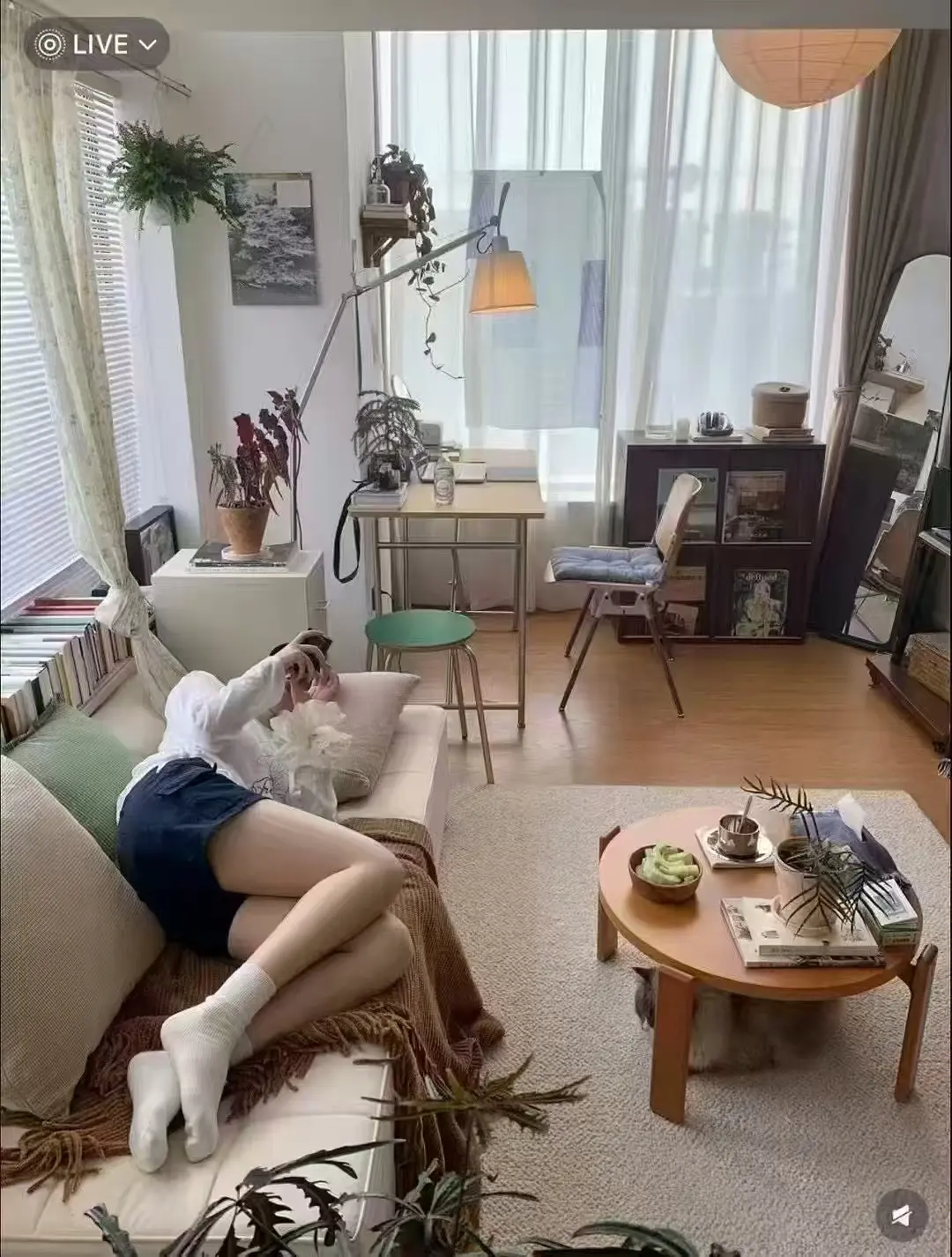 房屋图片 7