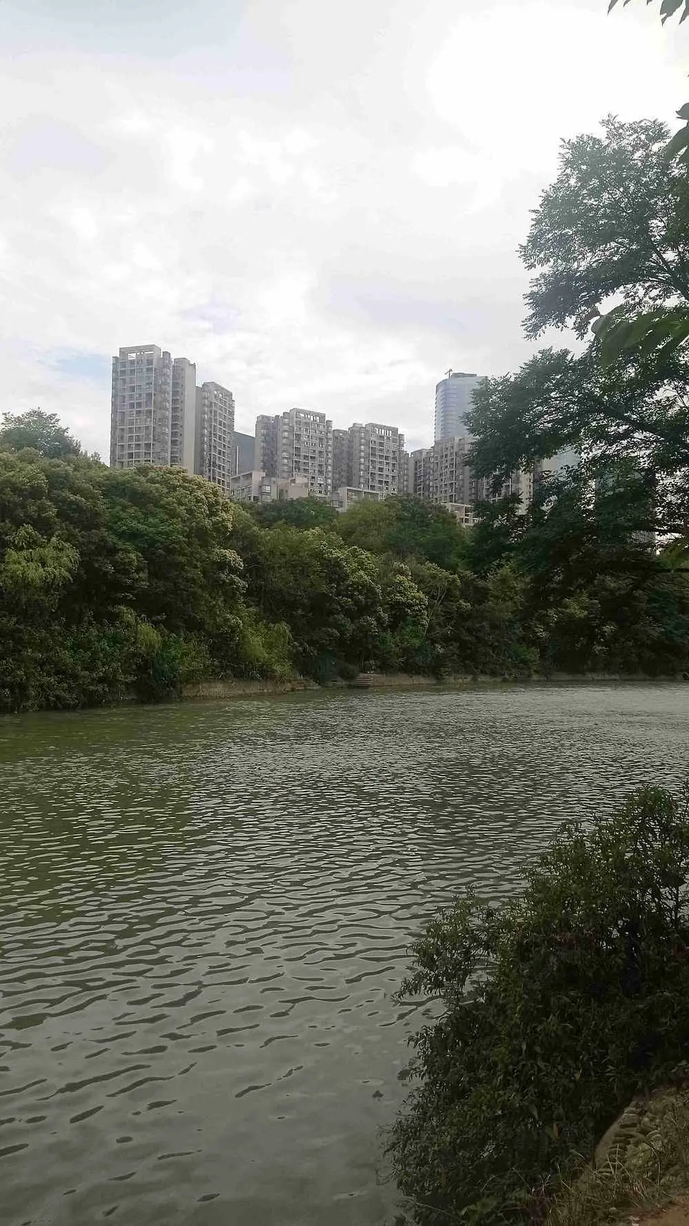 房屋图片 8