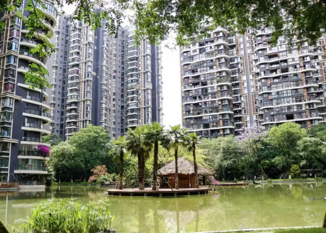 房屋图片 10