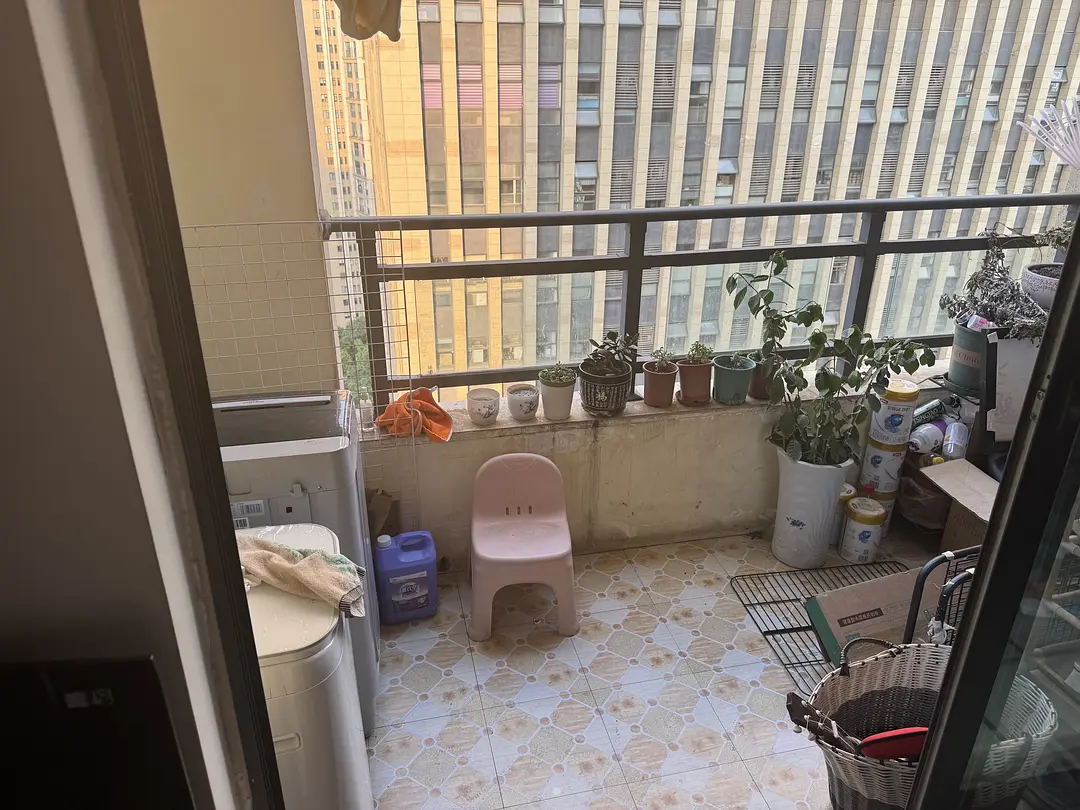 房屋图片 3