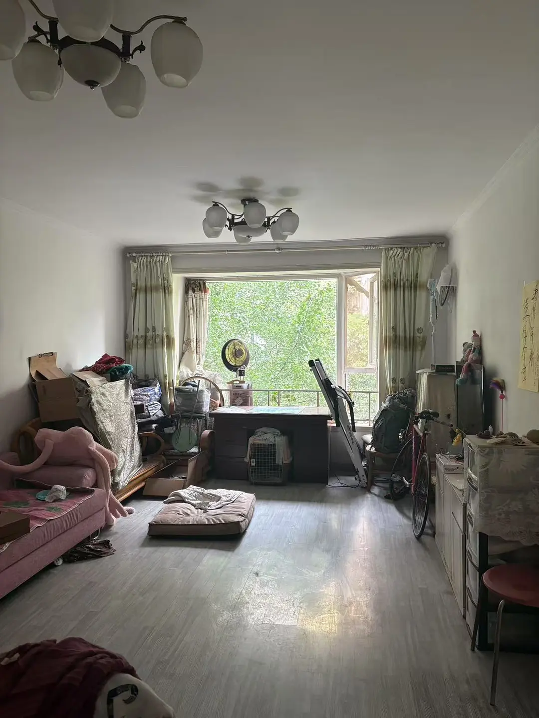 房屋图片 5