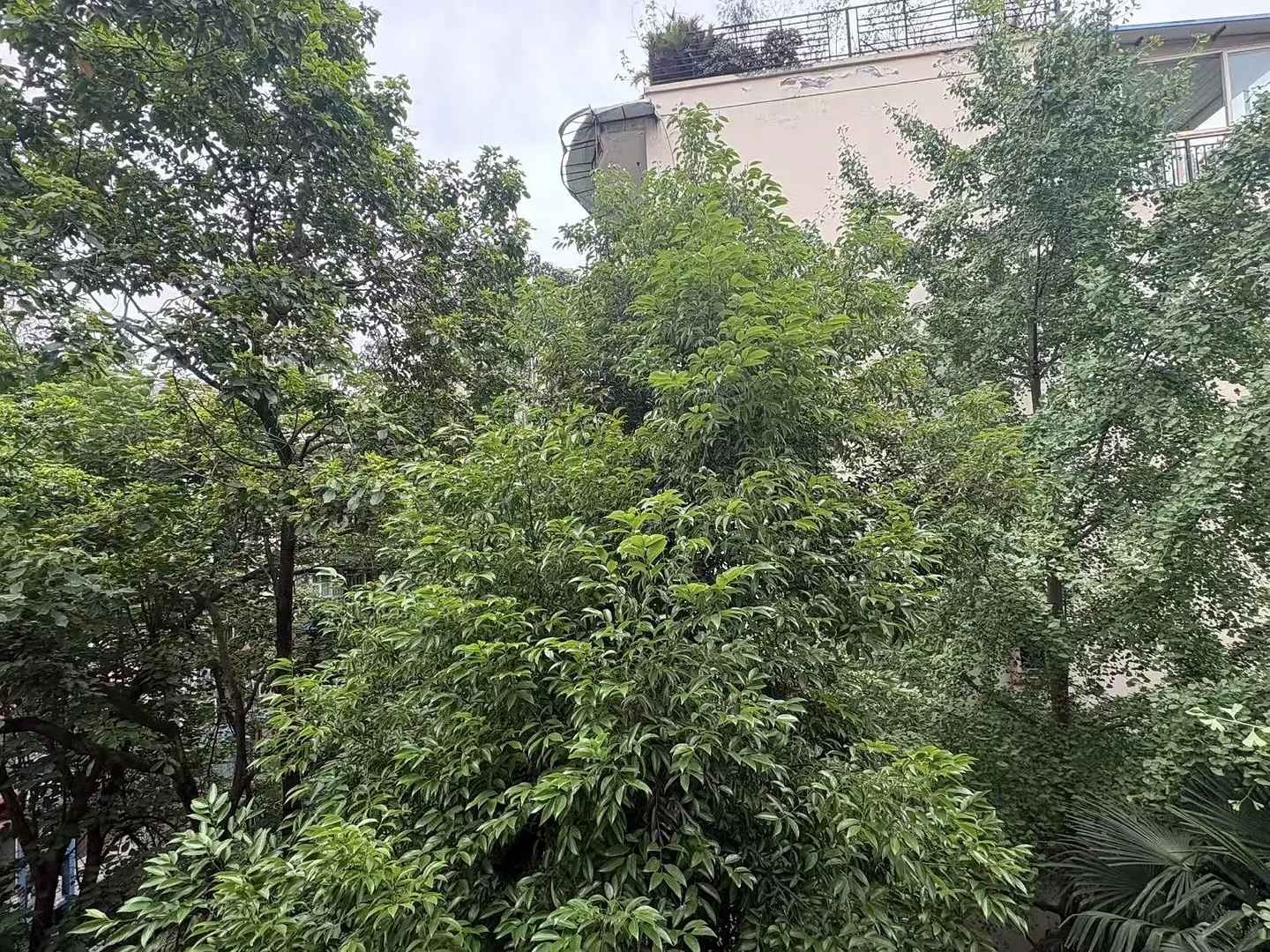 房屋图片 3