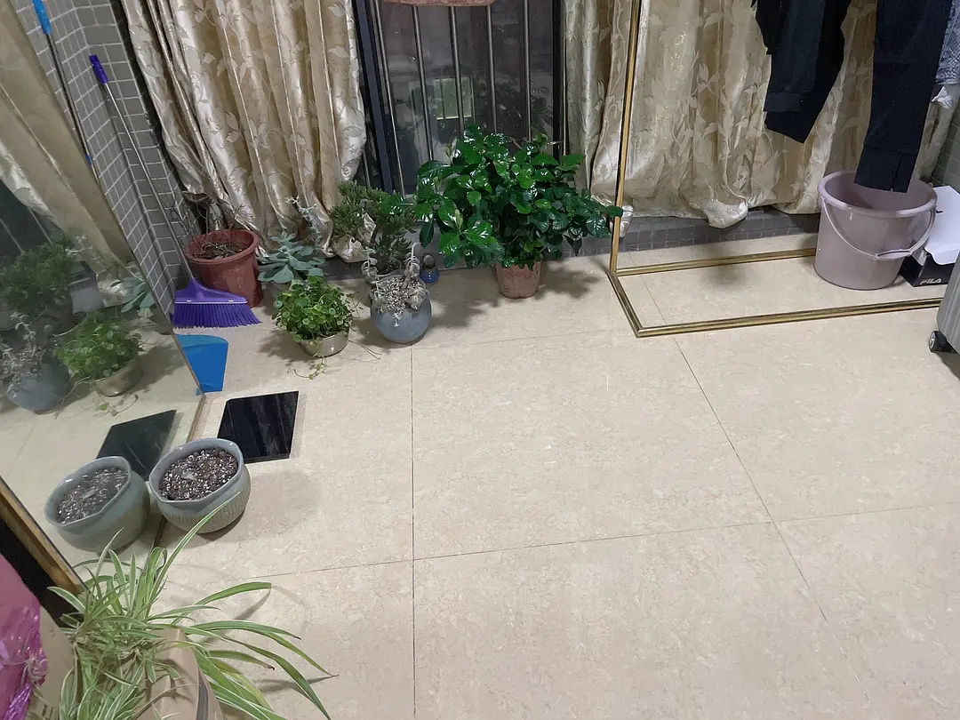 房屋图片 4