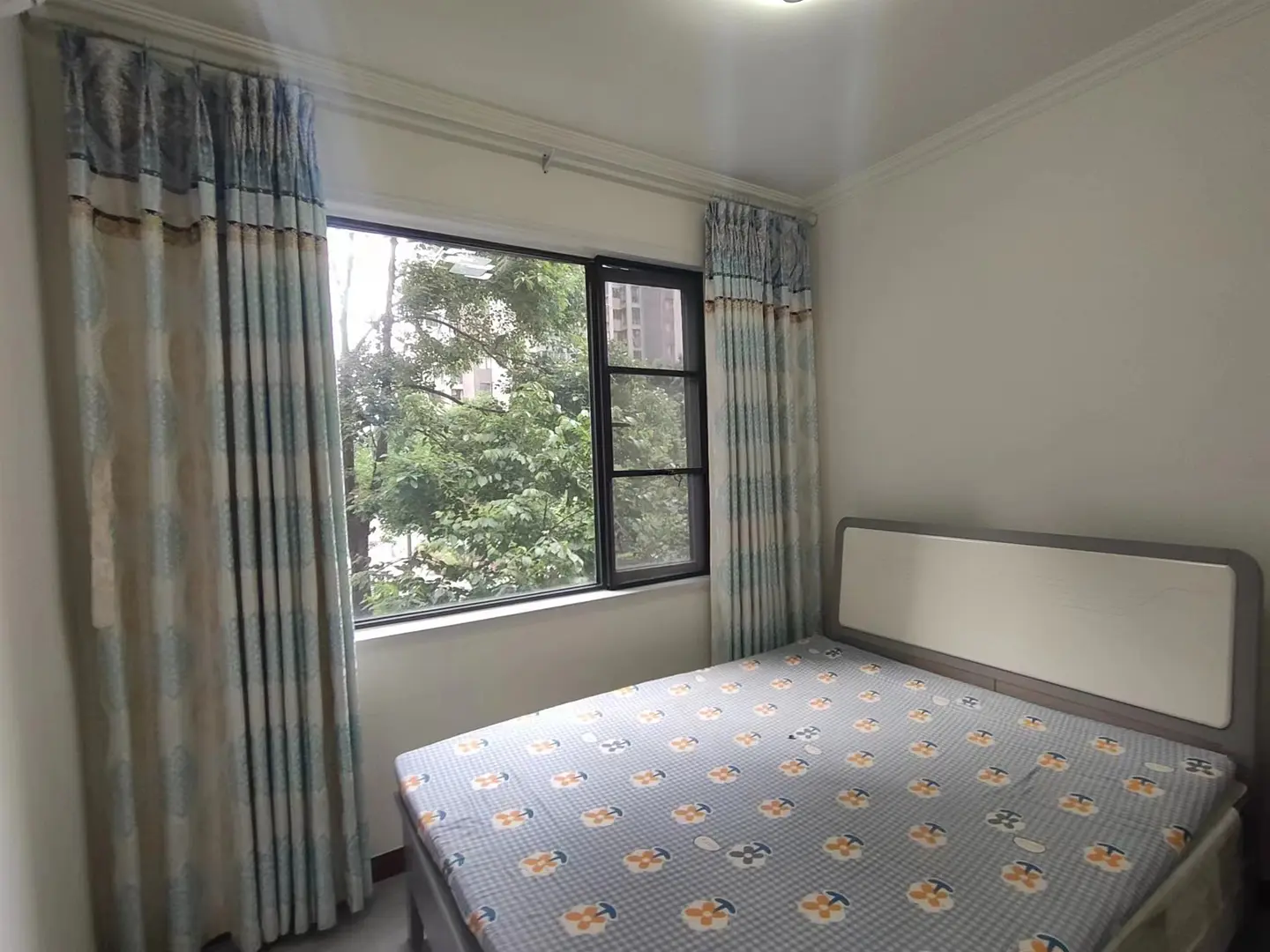房屋图片 4