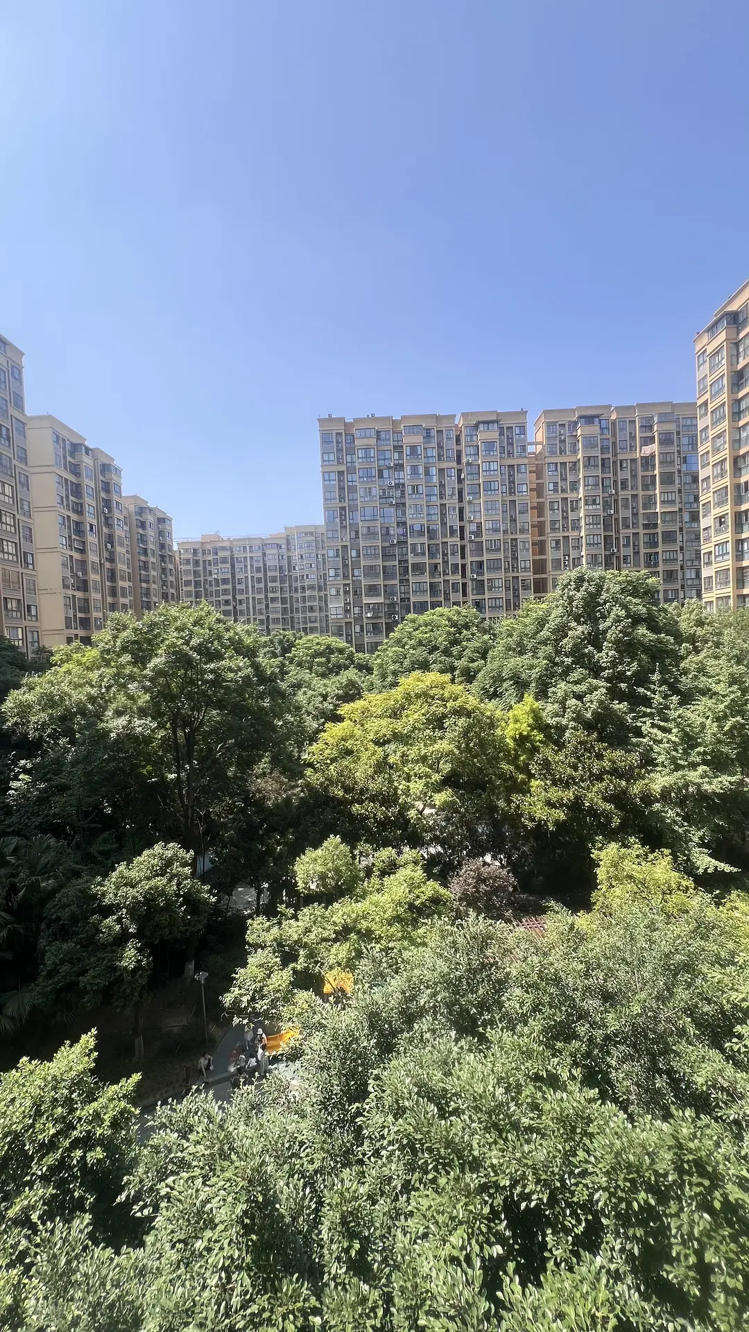 房屋图片 5