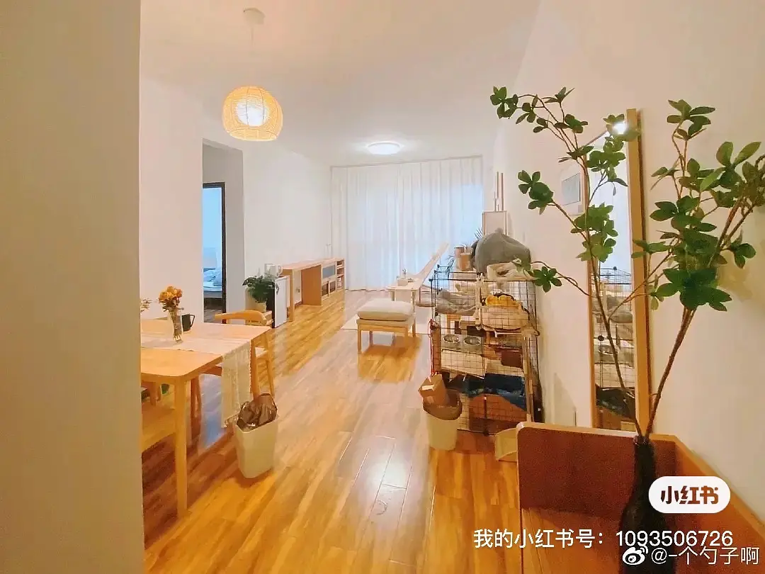 房屋图片 2