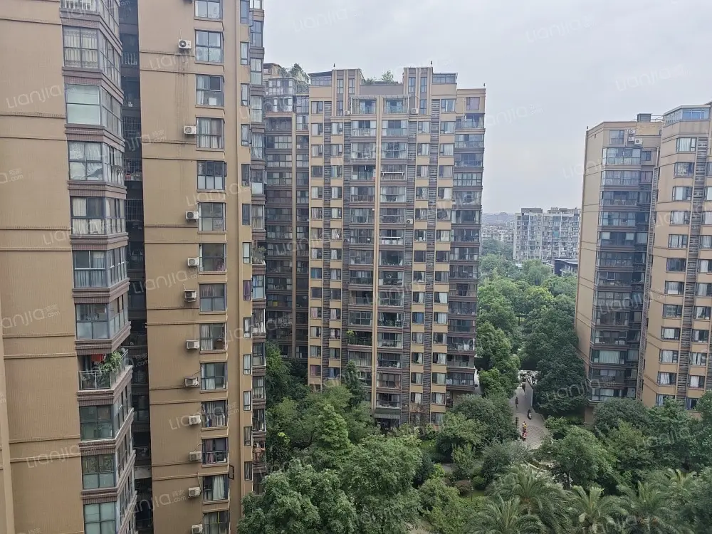 房屋图片 11