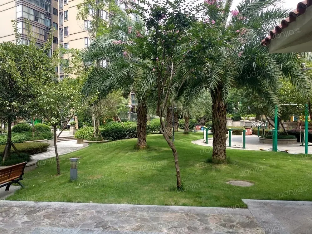 房屋图片 16