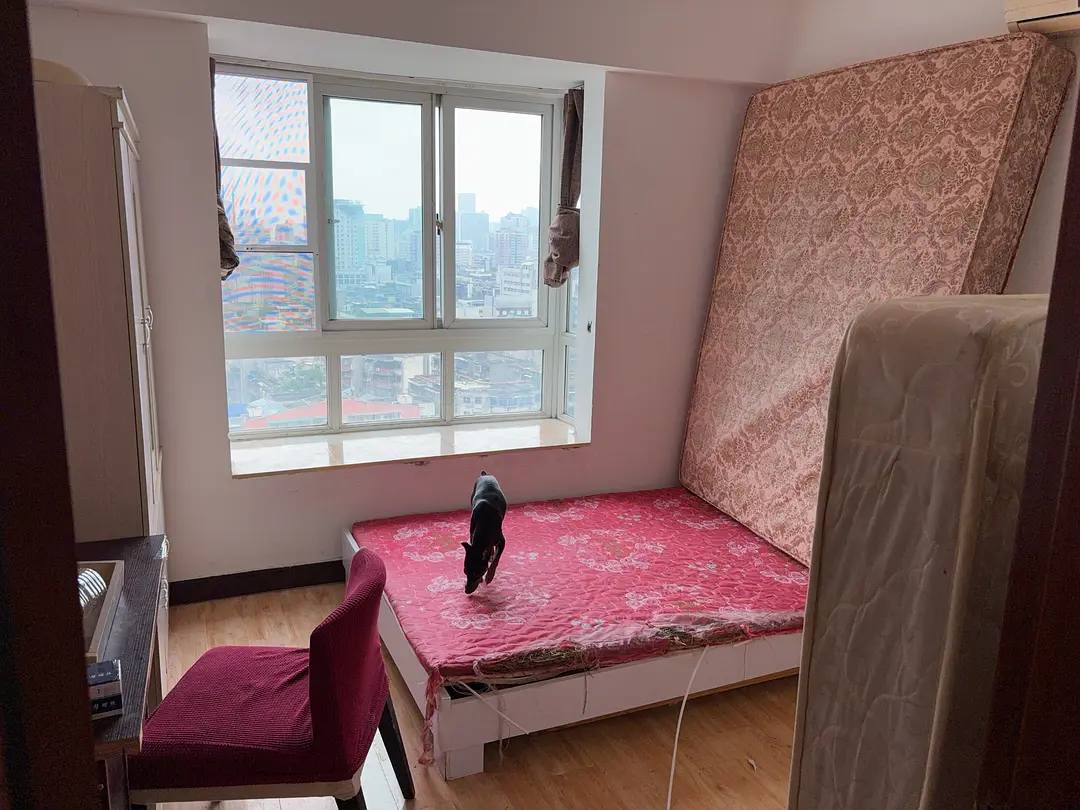 房屋图片 3