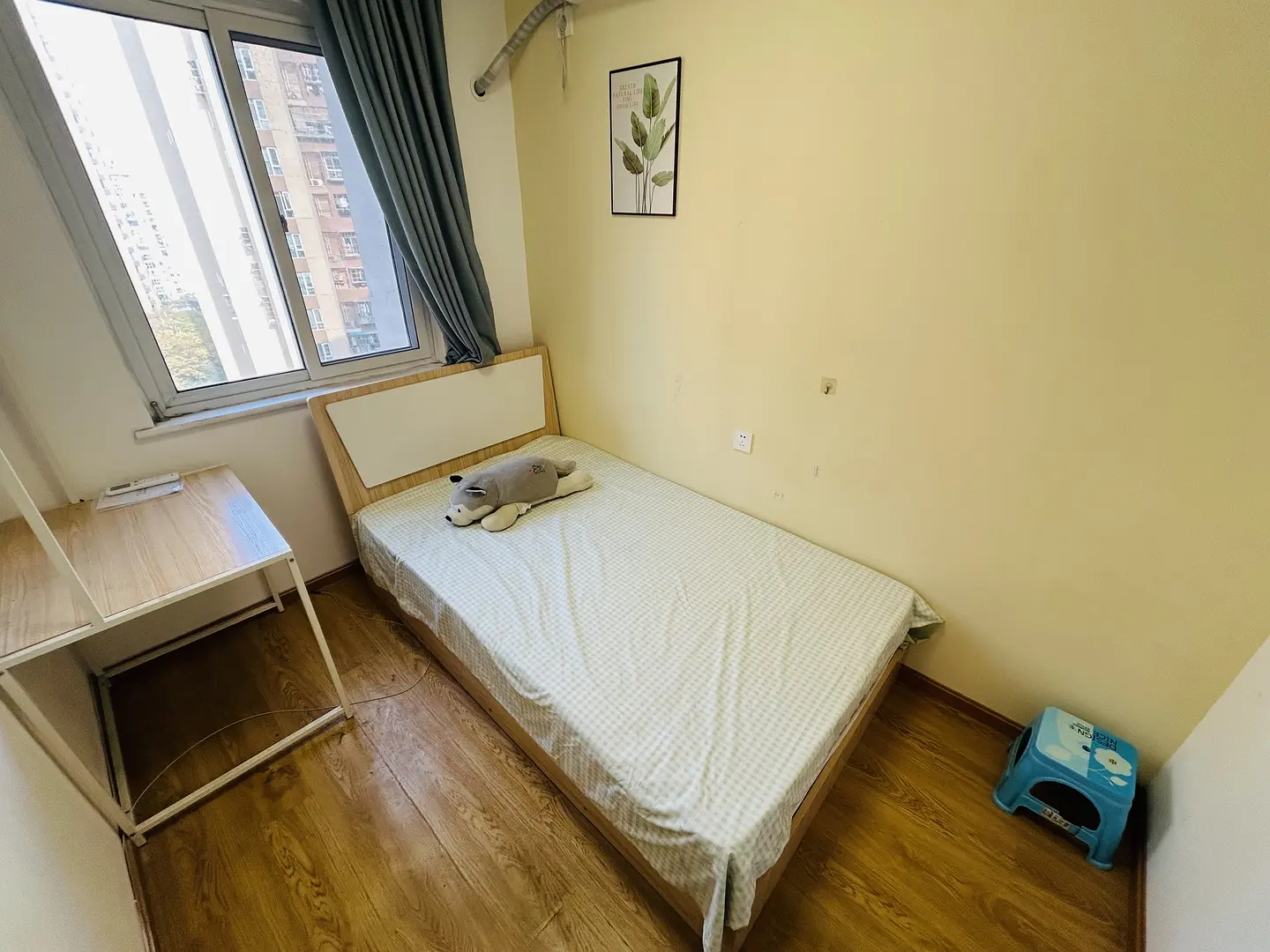 房屋图片 5
