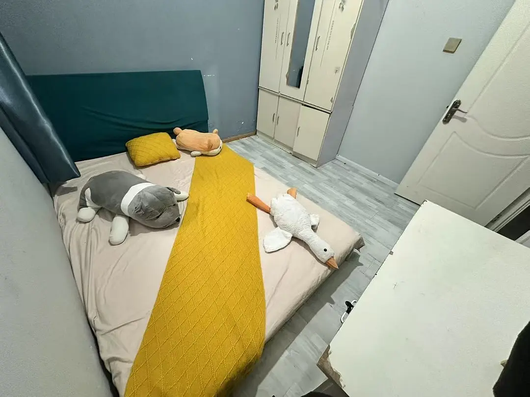 房屋图片 2