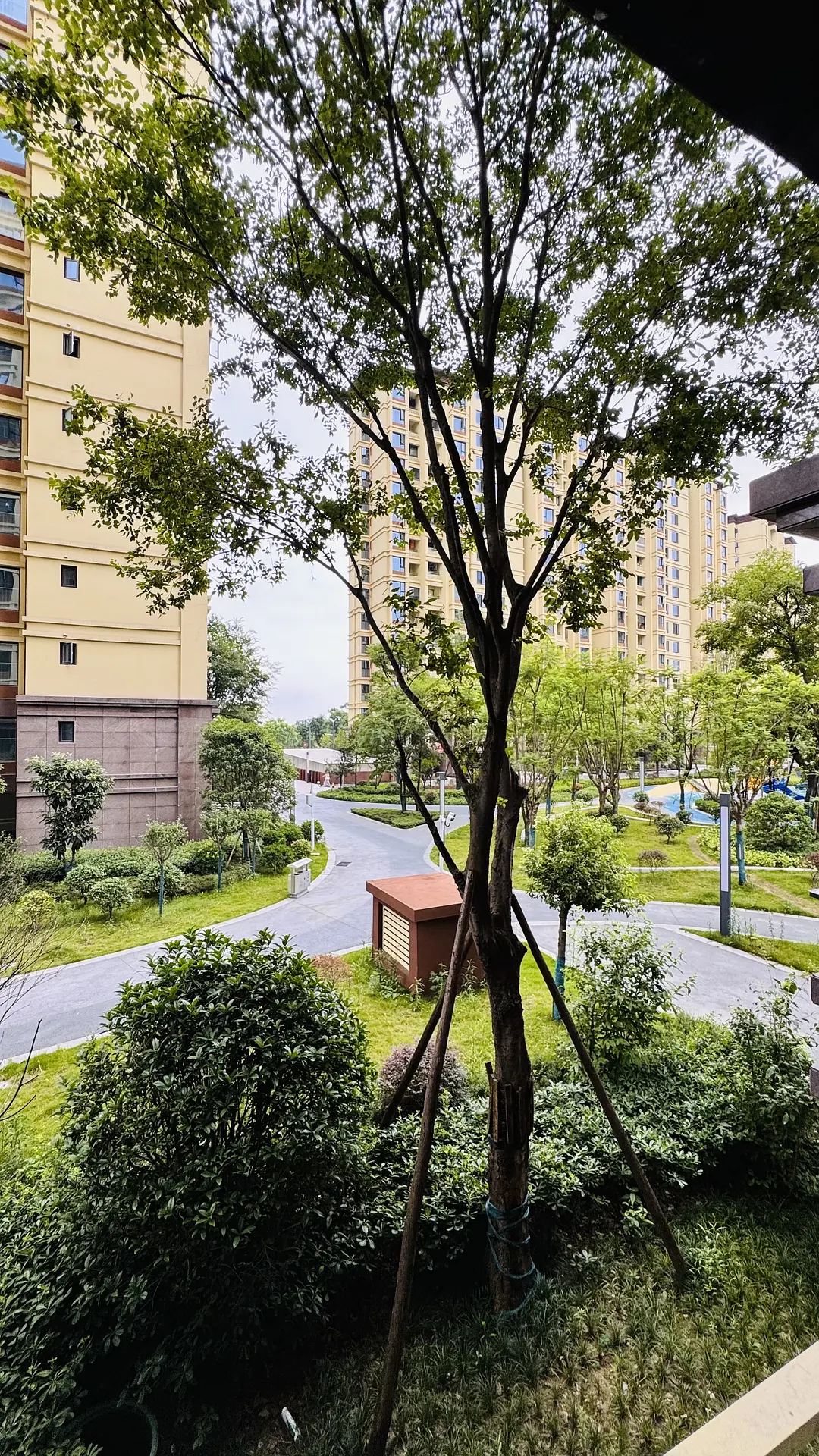 房屋图片 6