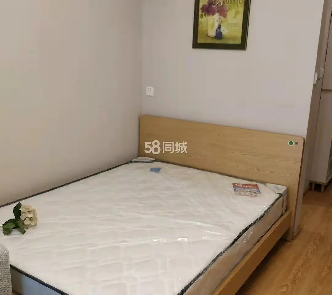 房屋图片 4