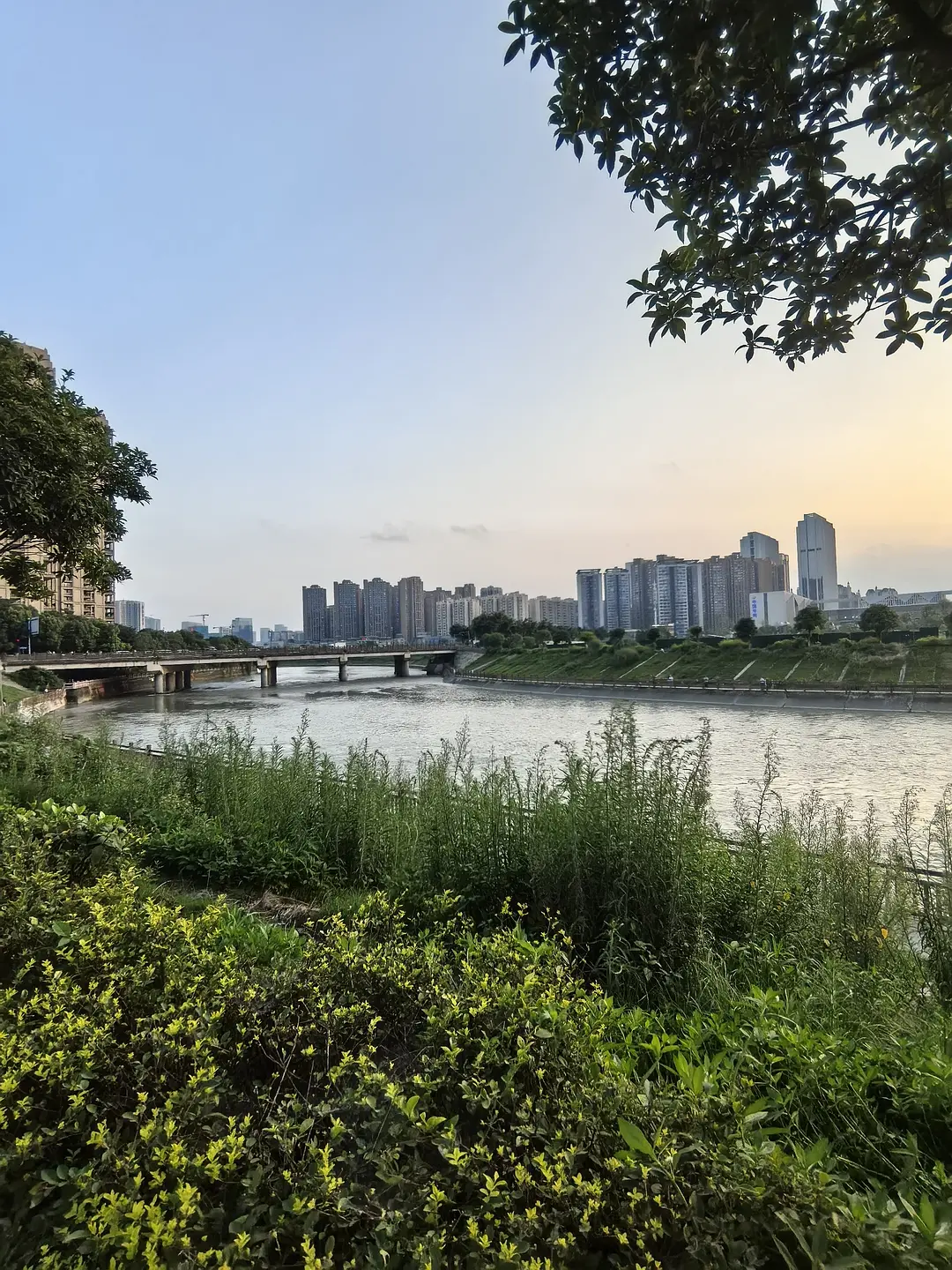 房屋图片 7
