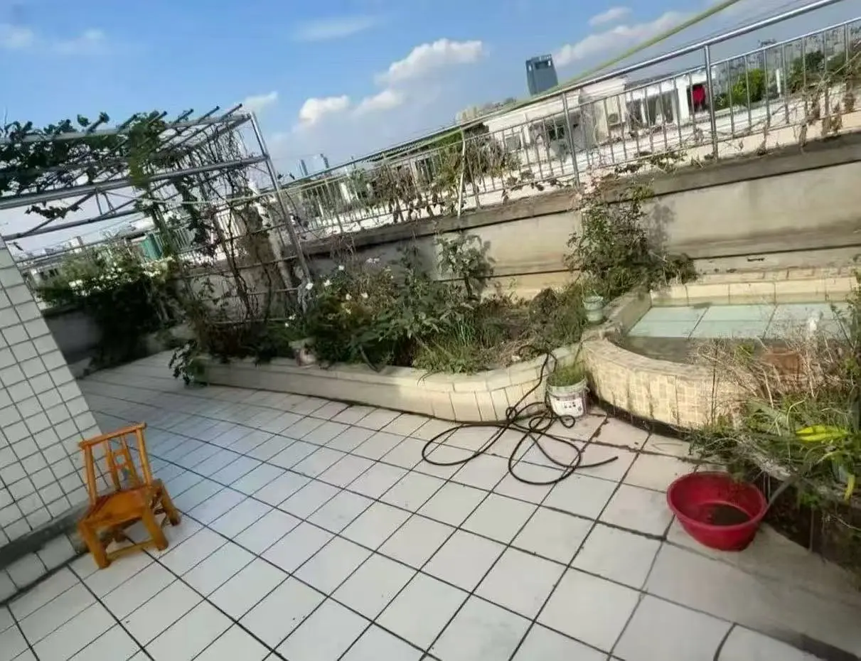 房屋图片 7