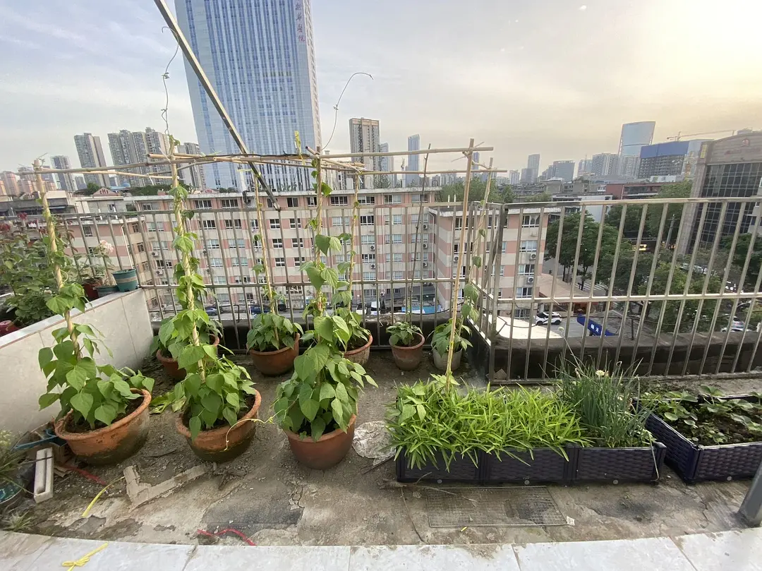 房屋图片 9