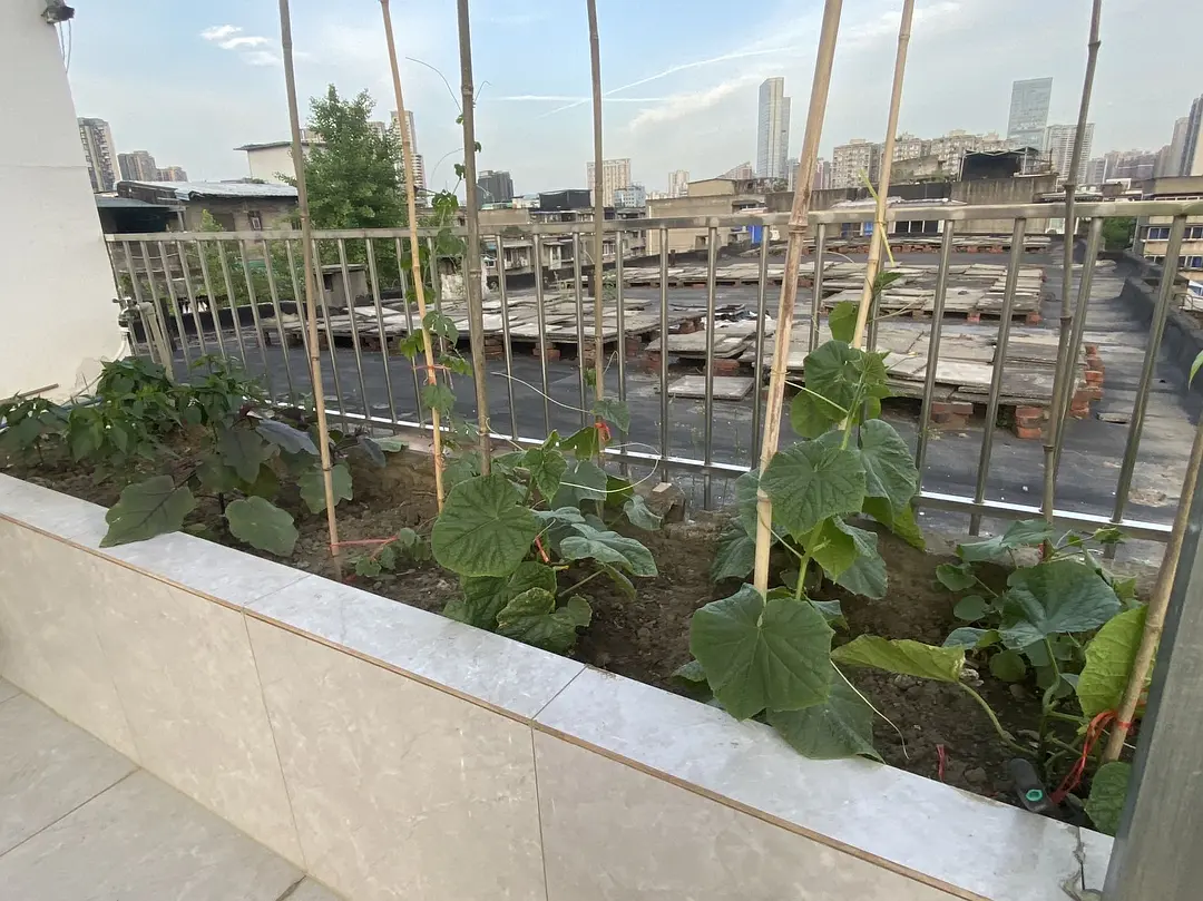 房屋图片 10