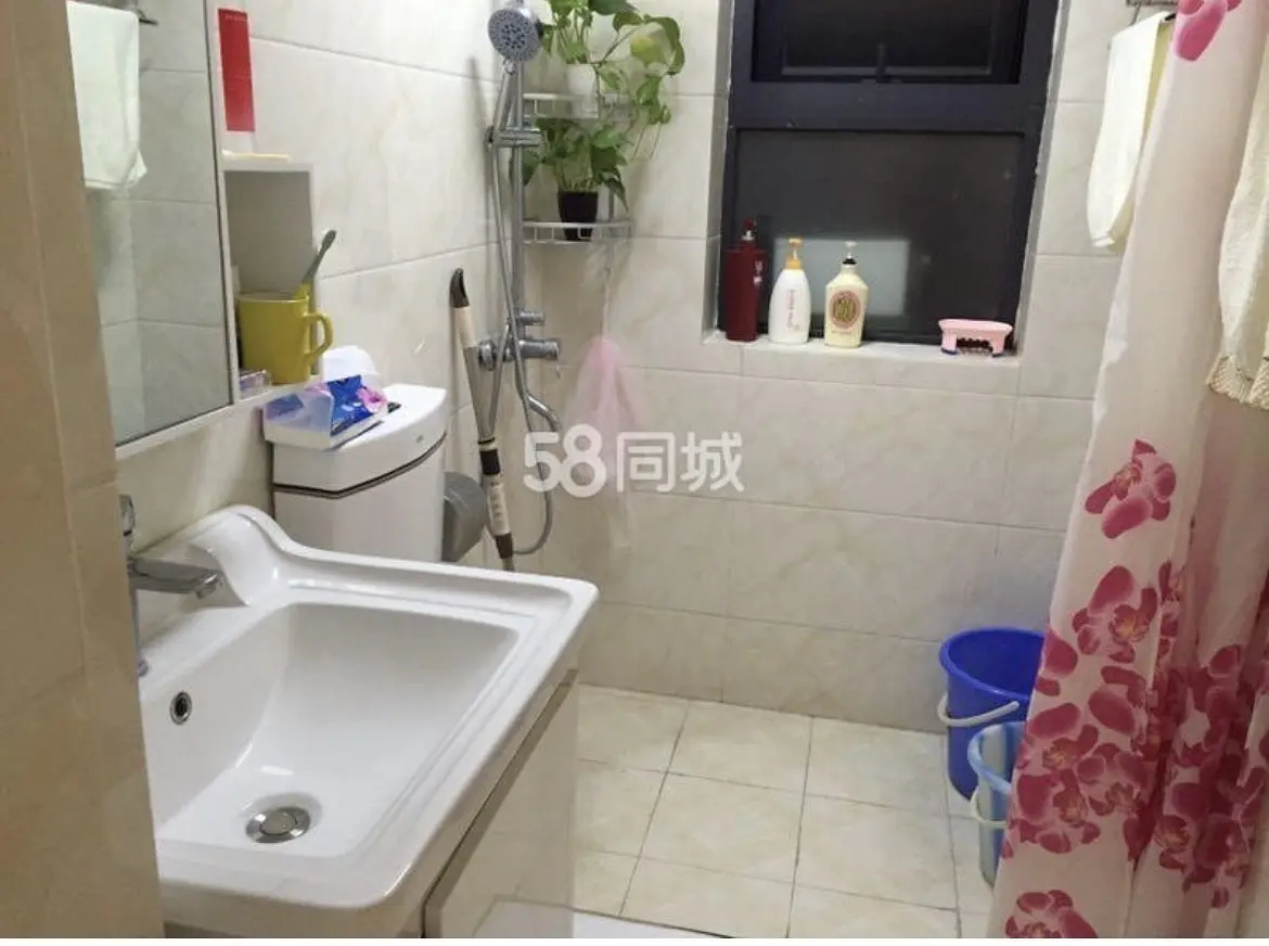 房屋图片 4