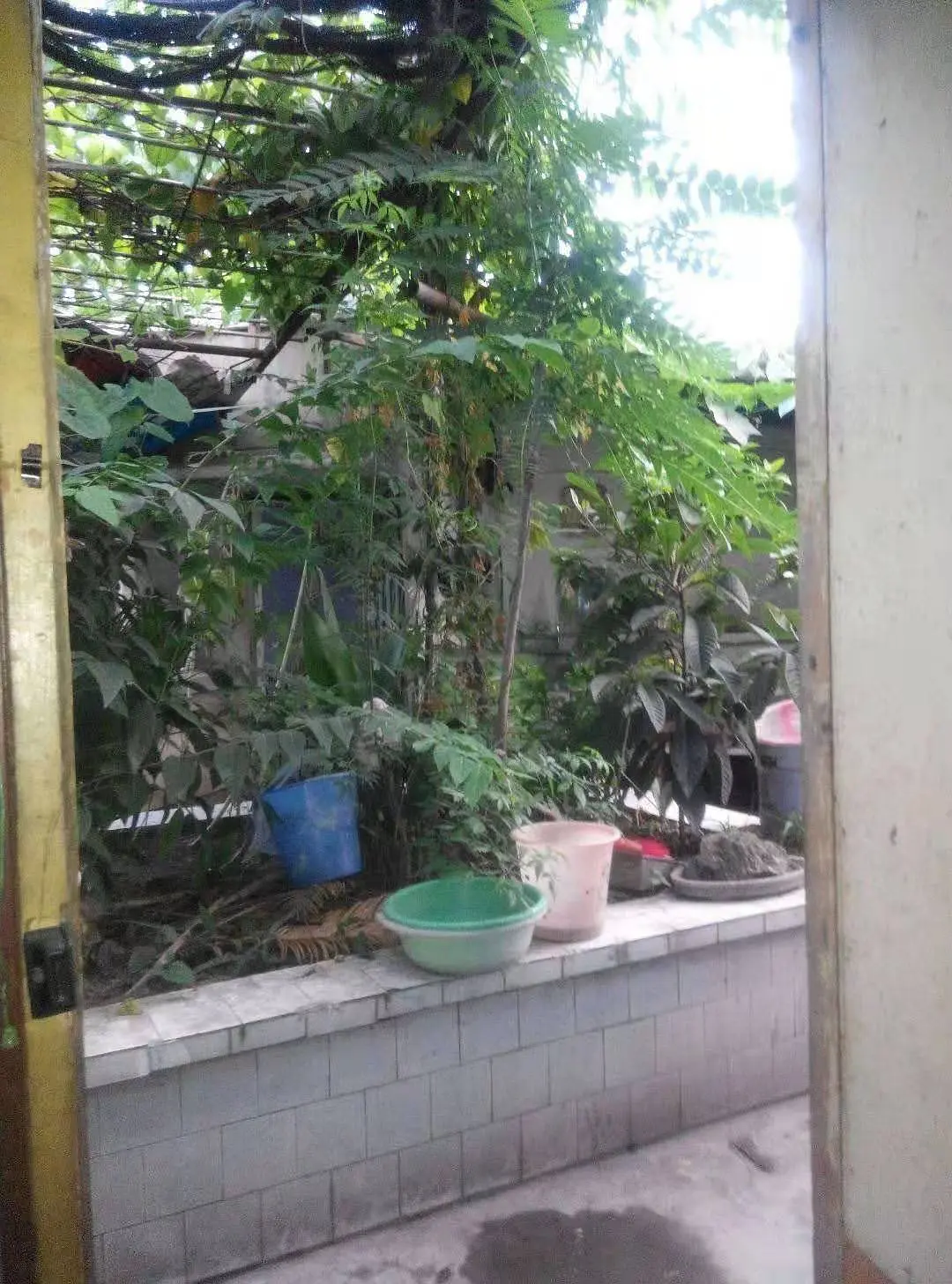 房屋图片 2