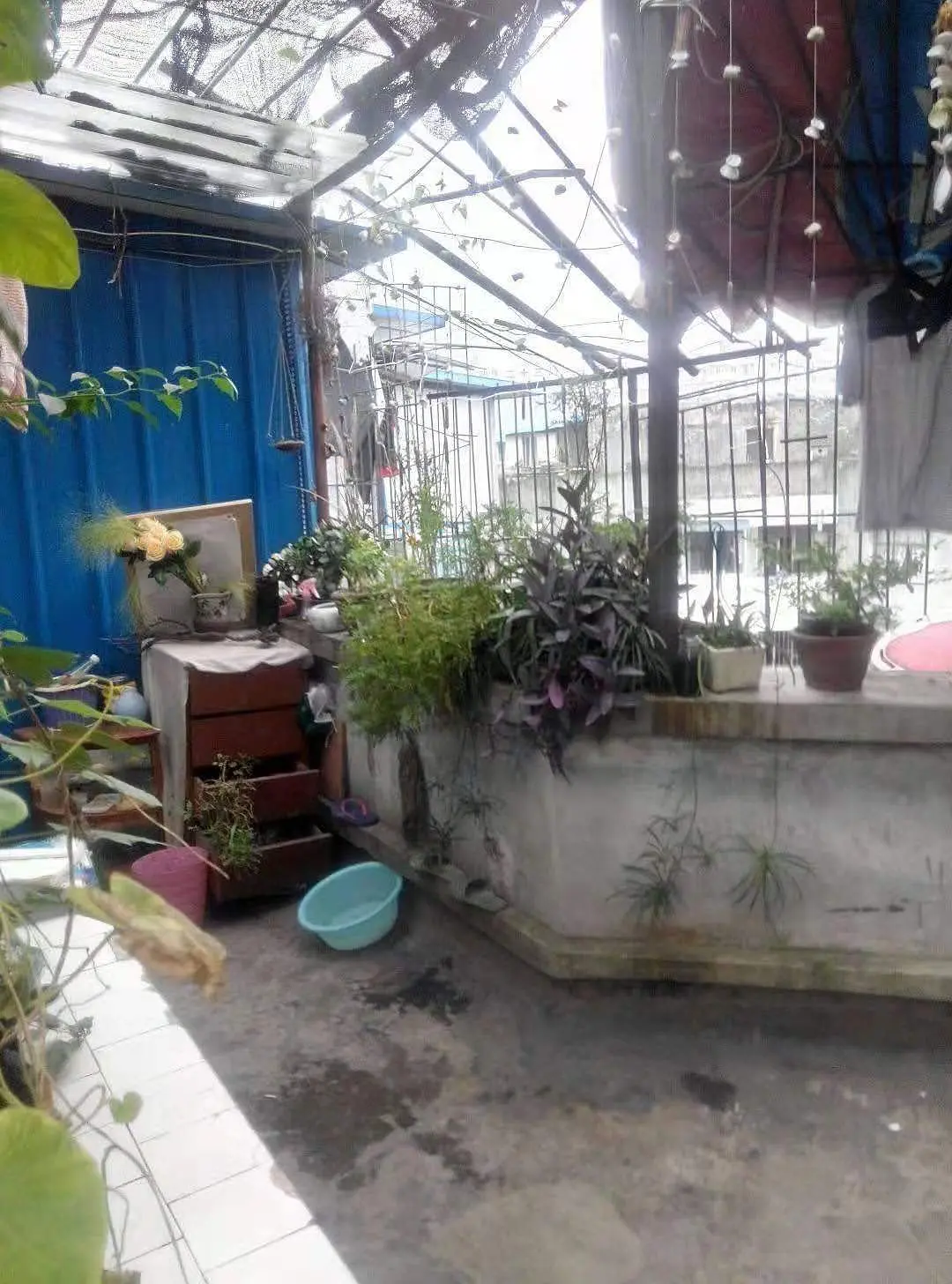 房屋图片 6