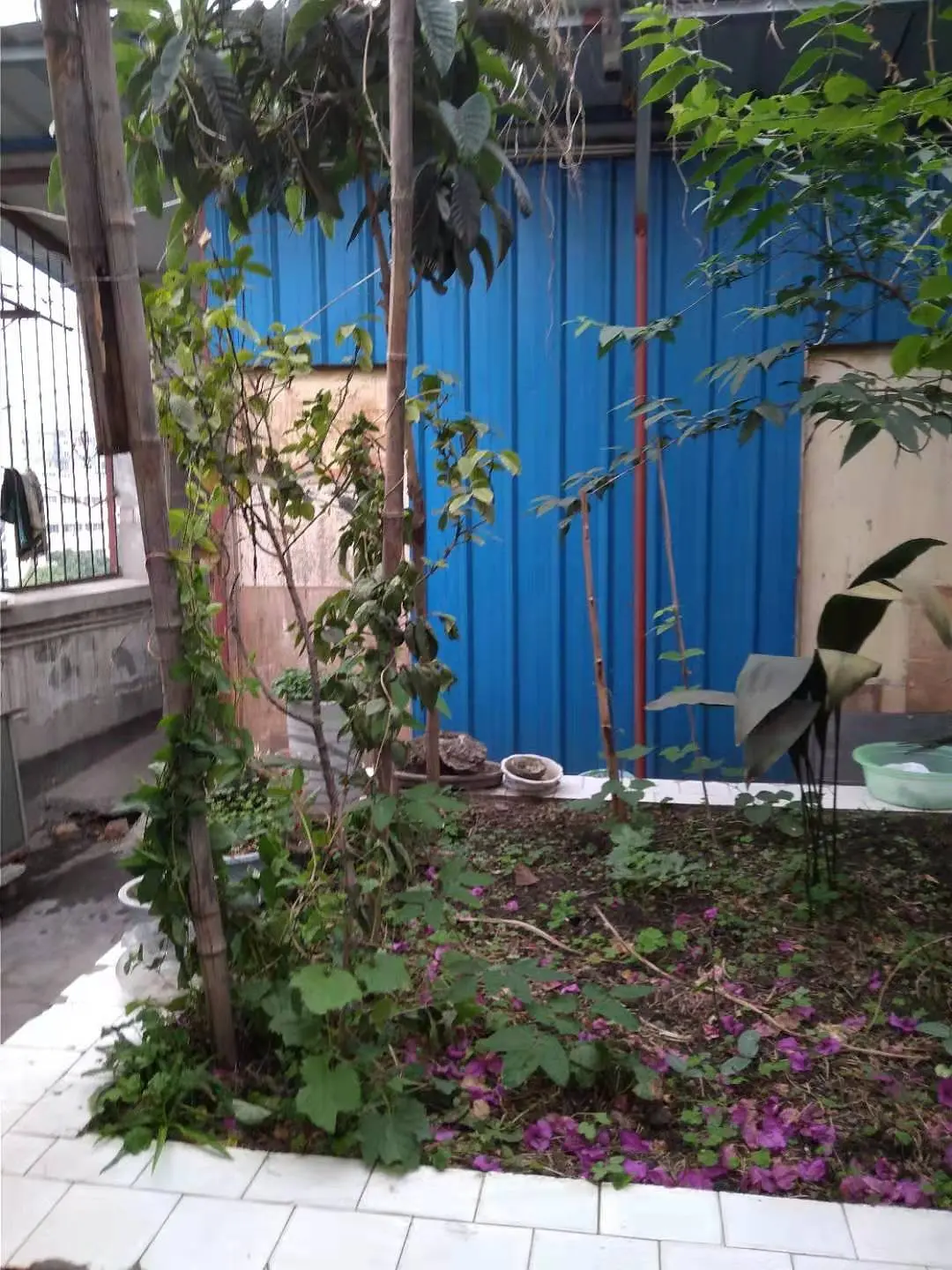 房屋图片 3