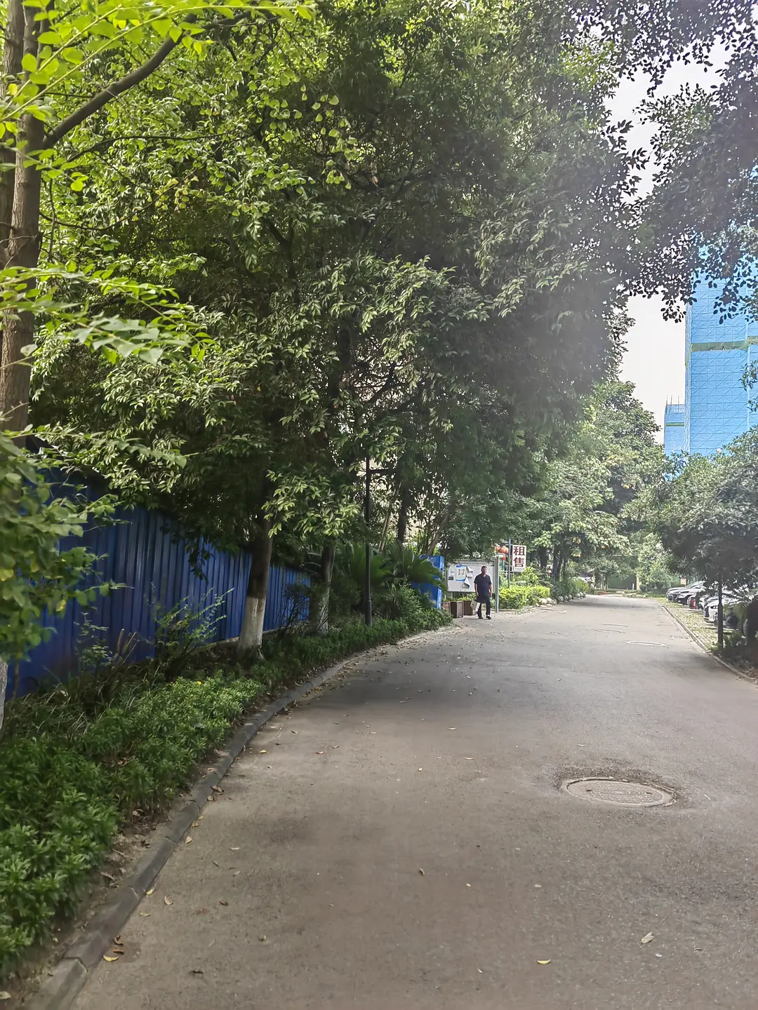 房屋图片 6