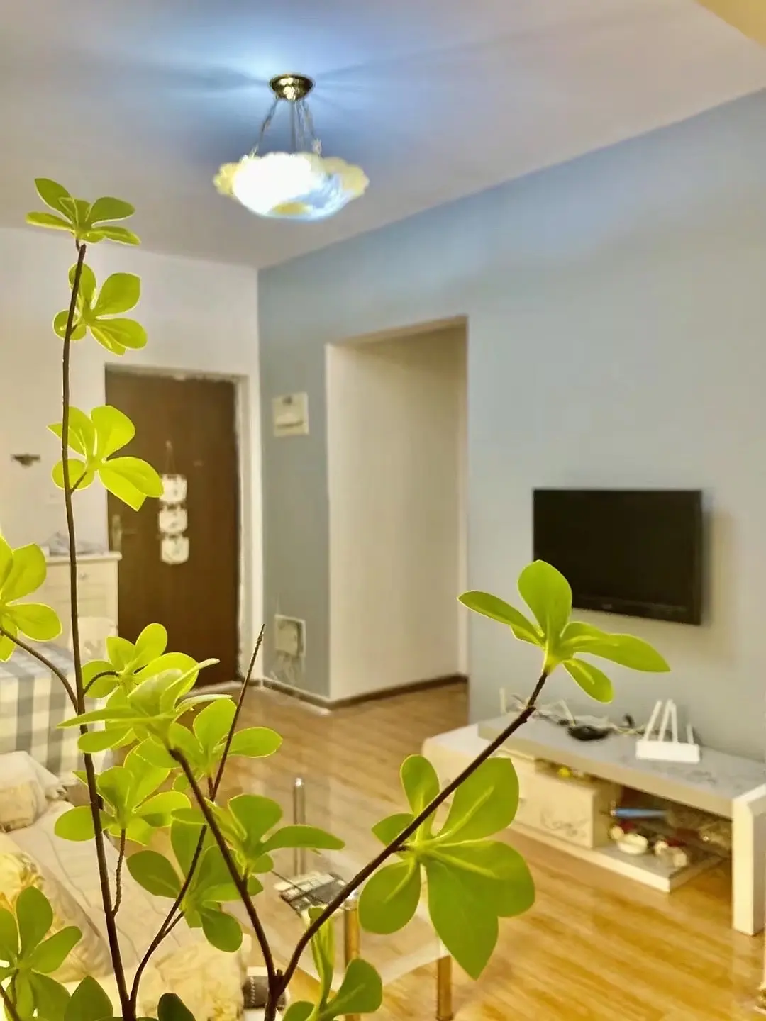 房屋图片 2