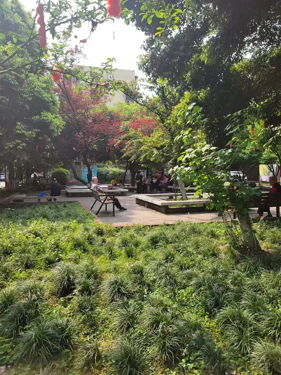 房屋图片 22