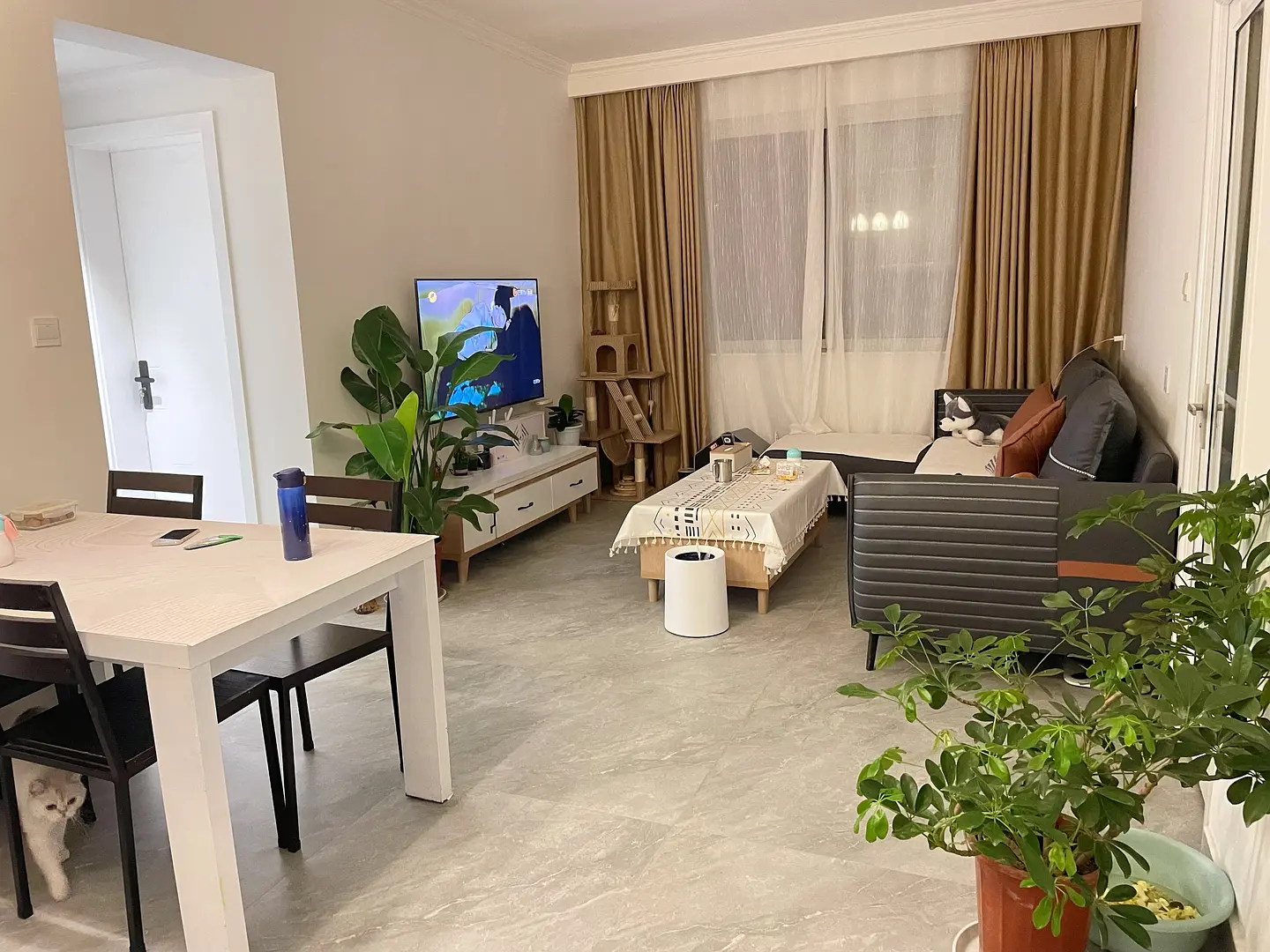 房屋图片 2