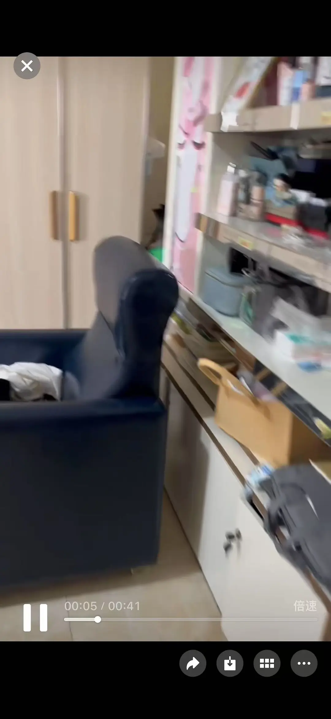 房屋图片 2