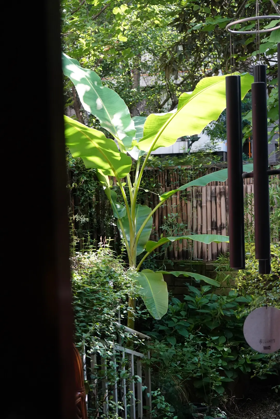 房屋图片 1