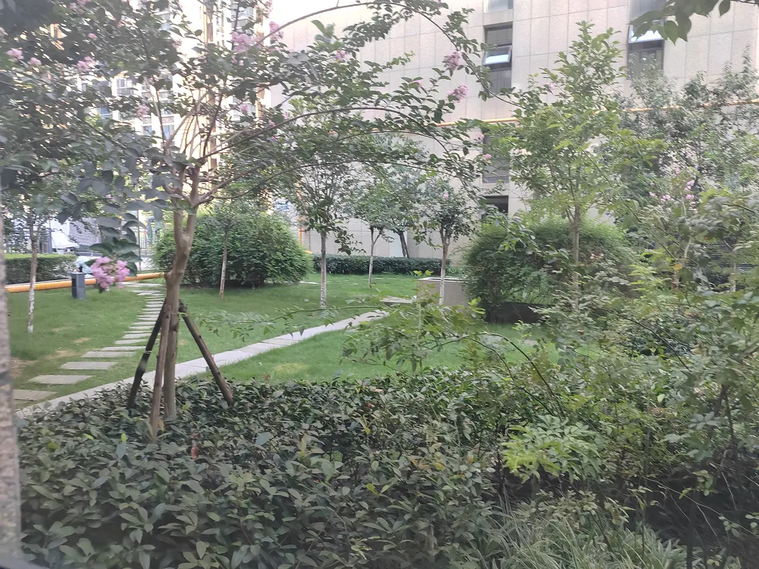 房屋图片 6