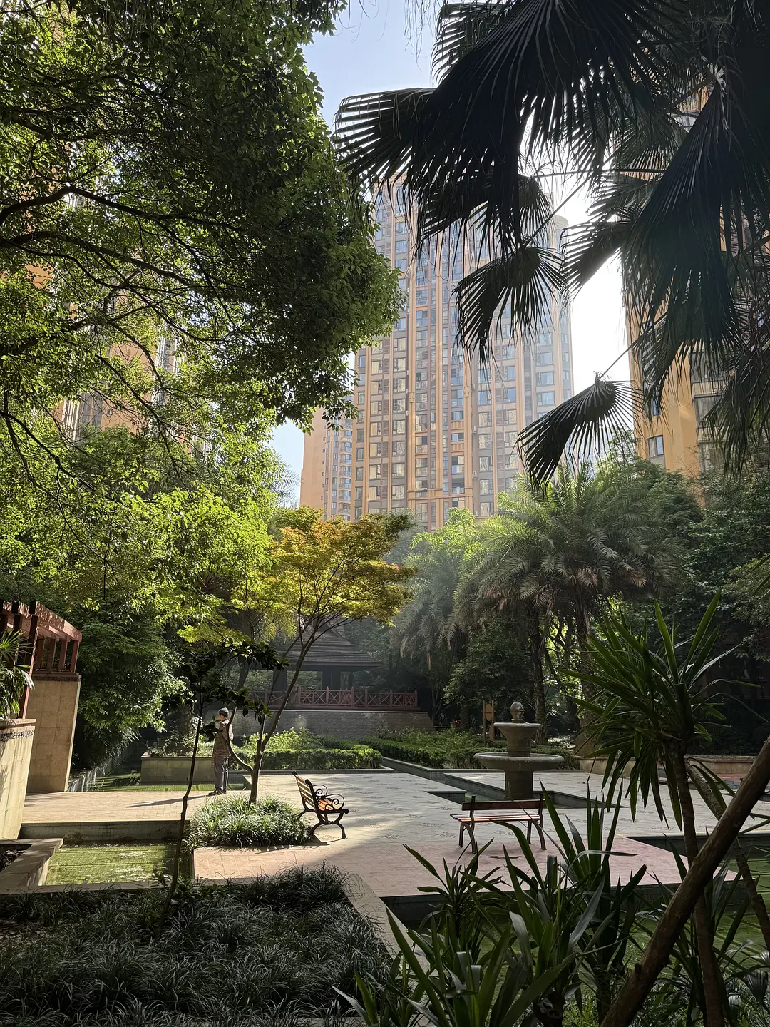 房屋图片 10