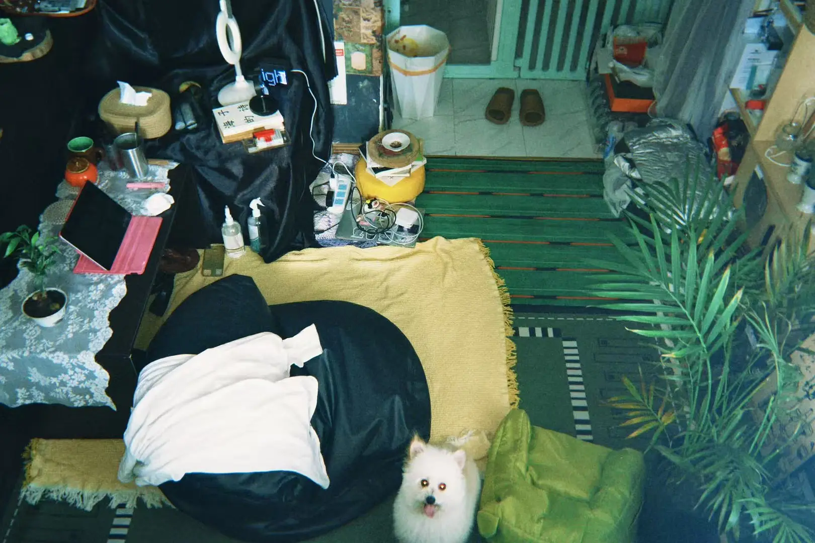 房屋图片 8