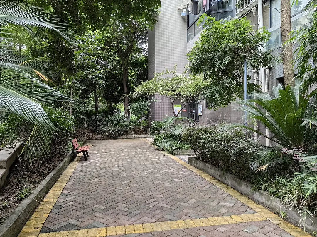 房屋图片 8