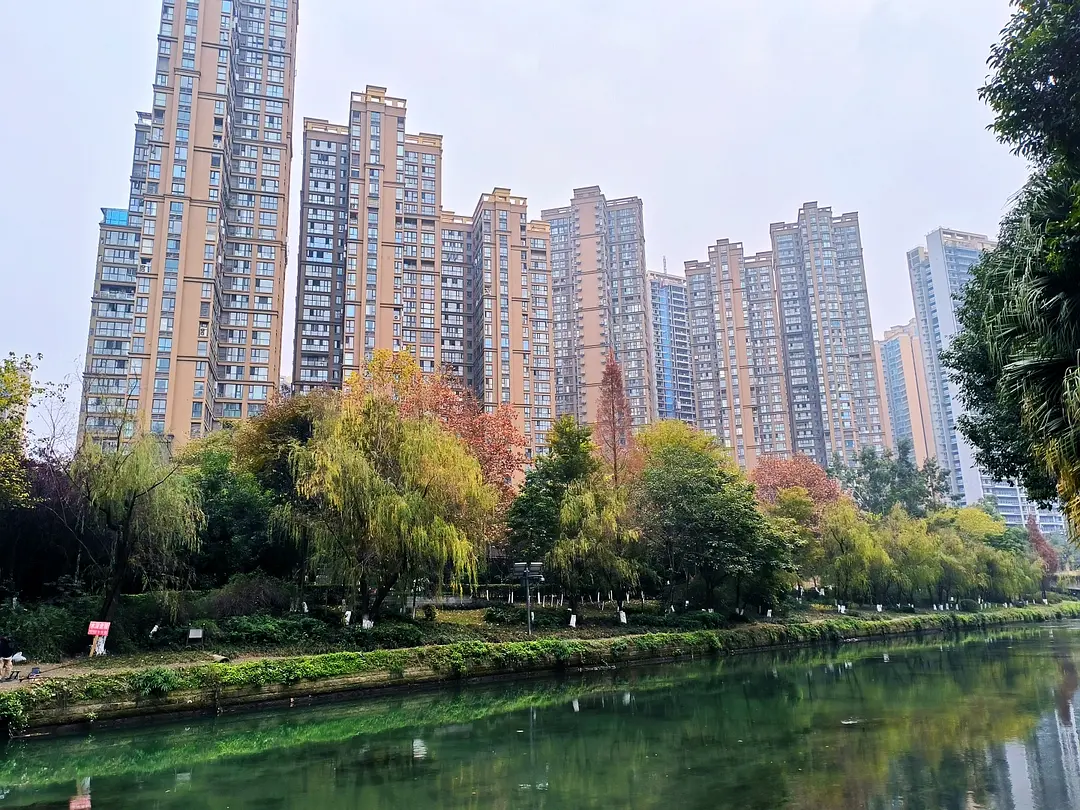 房屋图片 11