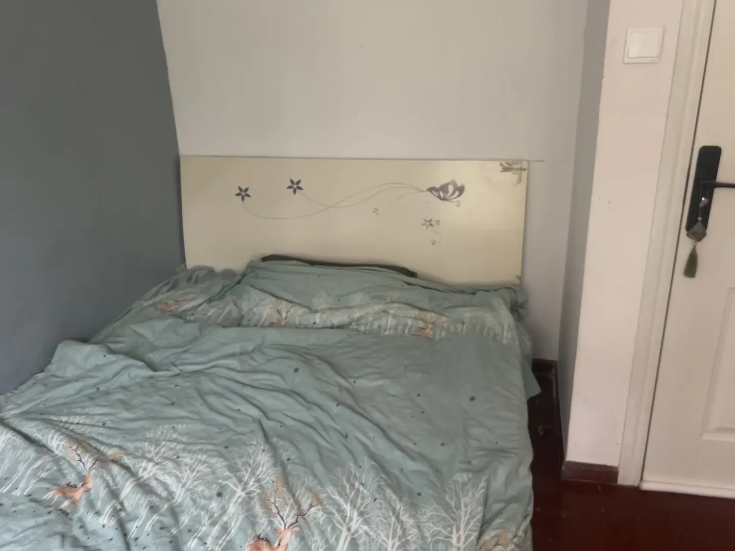房屋图片 3
