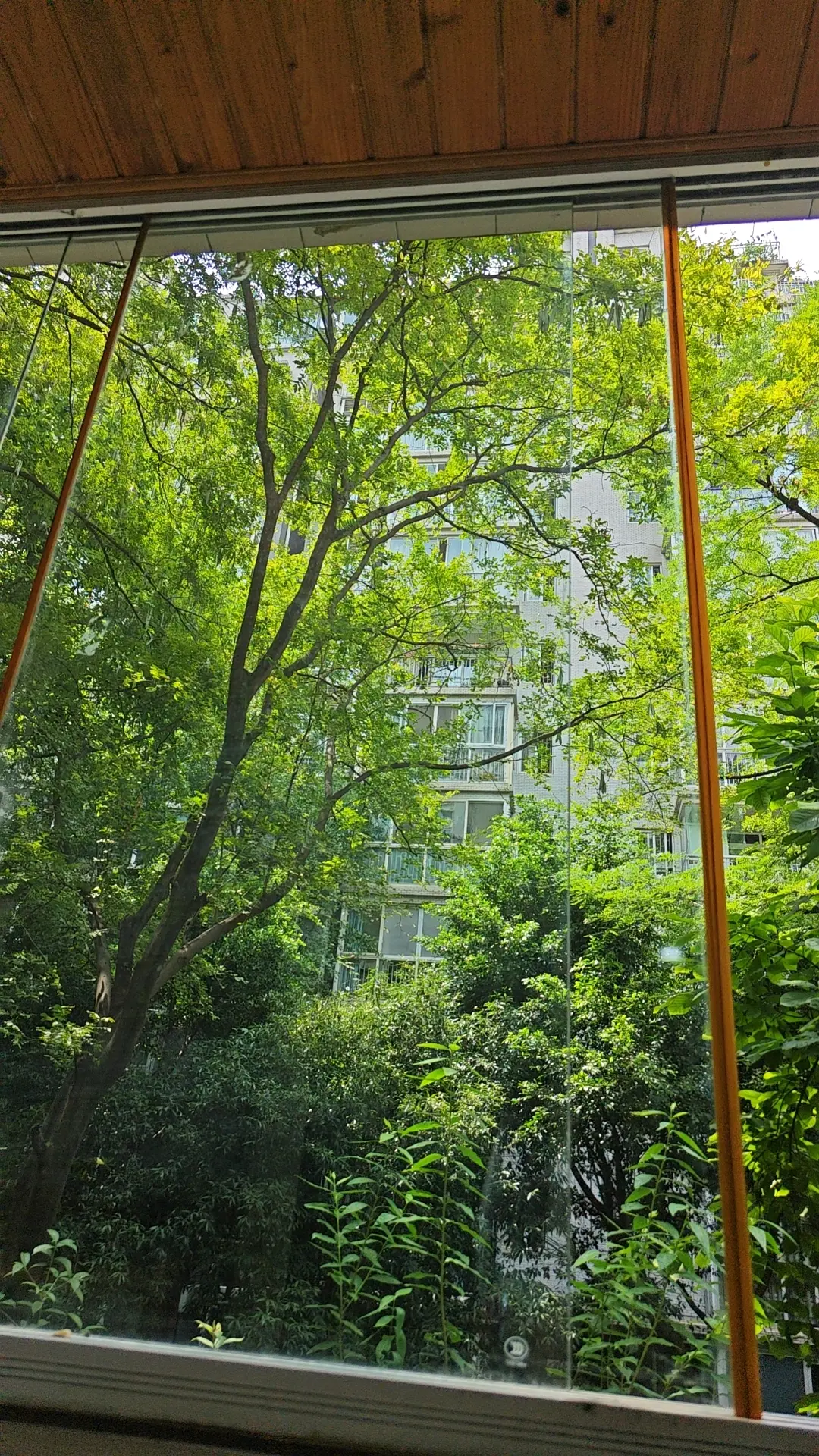 房屋图片 1