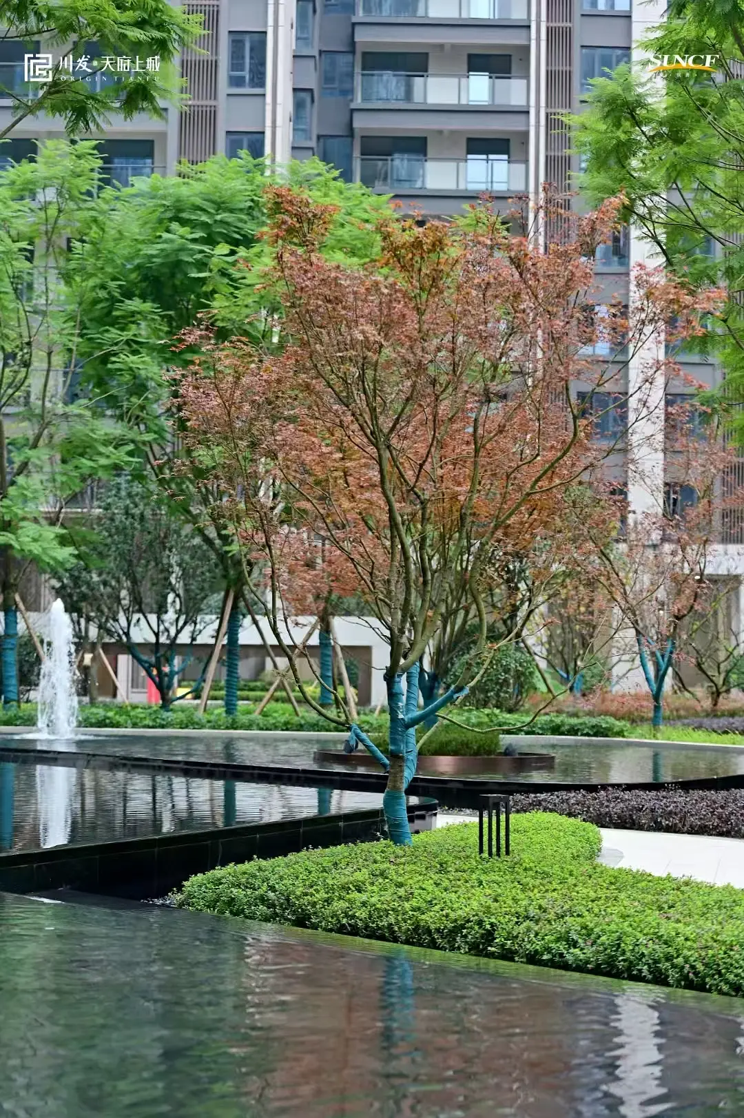 房屋图片 4