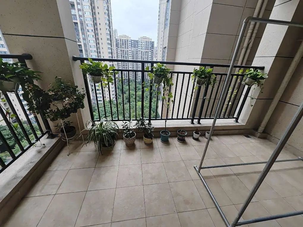 房屋图片 9