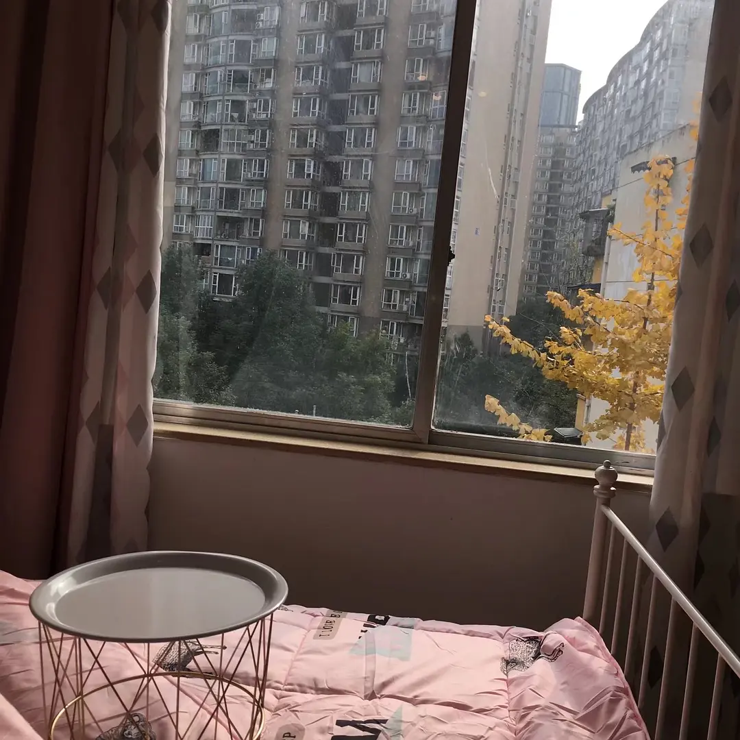 房屋图片 3